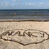 nancy_gamil